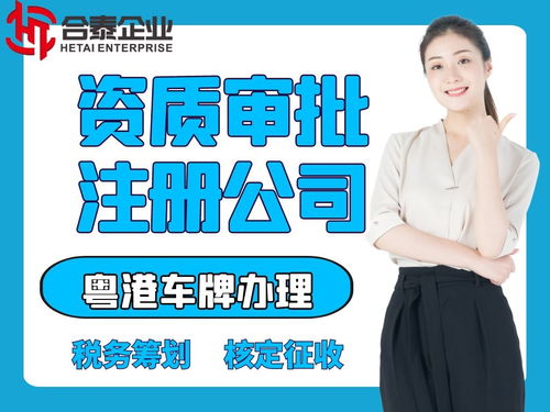 全面解析代理海南国际贸易公司及国内贸易代理的申请与办理流程