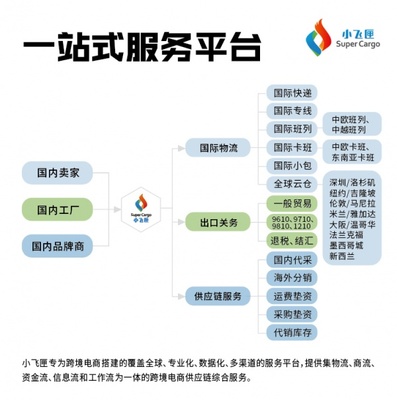 国际快递货运与国内贸易代理 加拿大市场的协同发展策略